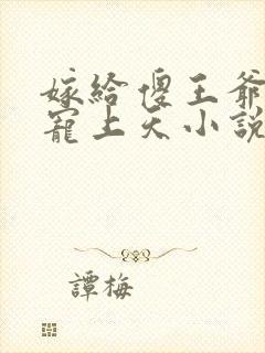 嫁给傻王爷后被宠上天小说txt