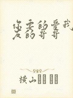 你要的爱我和朋友的哥哥