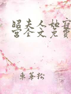 昭夫人她宠冠后宫全文免费阅读