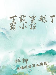 下载穿越了的学霸小说