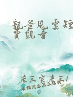 龙爸风云短剧免费观看