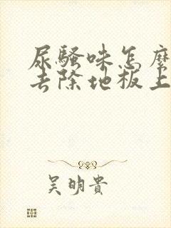 尿骚味怎么快速去除地板上的