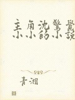 主角沈惊觉和白小小的小说免费阅读全文