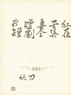 我赠妻子红缨枪短剧全集在线观看