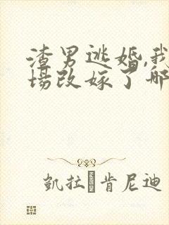 渣男逃婚,我当场改嫁了哪里可以看