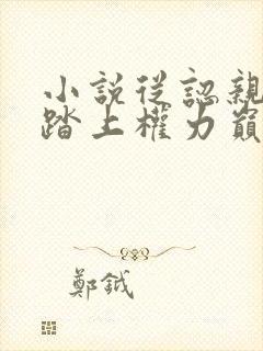 小说从认亲开始踏上权力巅峰完本免费阅读