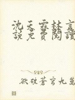 沈天霖林言溪小说免费阅读