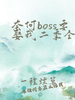 奈何boss要娶我二季全集免费
