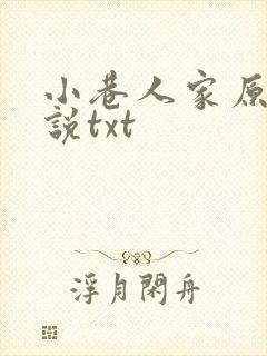小巷人家原著小说txt