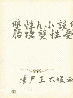 双性h小说双胞胎攻双性受