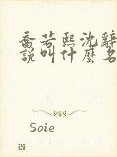 乔若熙沈辞安小说叫什么名字