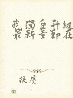 我独自升级小说最新章节在线阅读