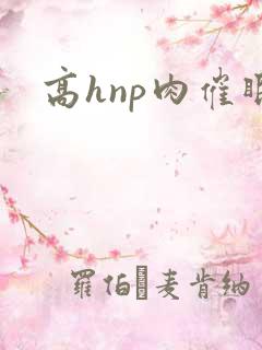 高hnp肉催眠