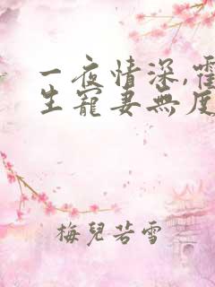 一夜情深,霍先生宠妻无度小说最新