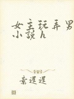 女主玩弄男人的小说 h