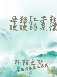 母猫肚子鼓鼓的硬硬的是怀孕了吗