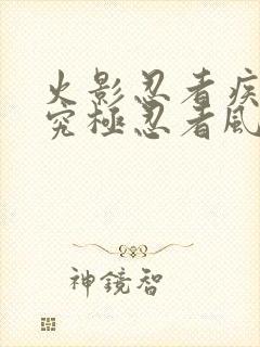 火影忍者疾风传究极忍者风暴4