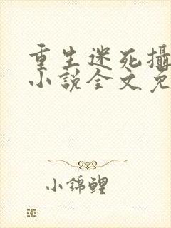 重生迷死摄政王小说全文免费阅读