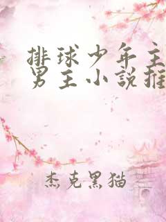 排球少年主受双男主小说推荐