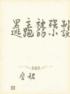 男主被强制囚禁逃跑的小说