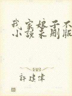 我家娘子不对劲小说未删版全集