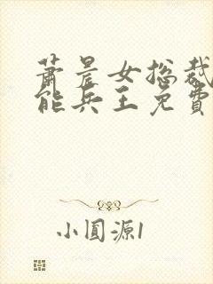 萧晨女总裁的全能兵王免费