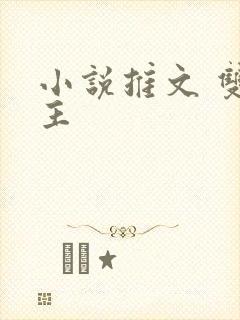 小说推文 双女主