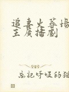 追妻火葬场双男主广播剧