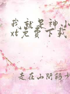 我就是神小说txt免费下载