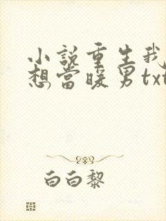 小说重生我真没想当暖男txt