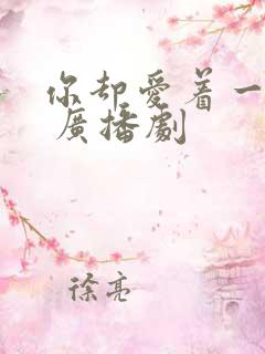 你却爱着一个他 广播剧