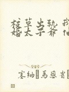 校草出轨 我闪婚太子爷 他疯了