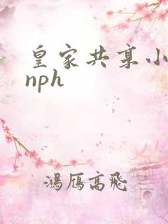皇家共享小公主nph