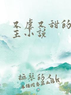 又虐又甜的双男主小说