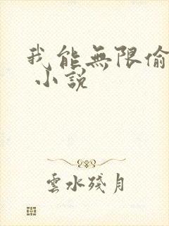 我能无限偷属性 小说