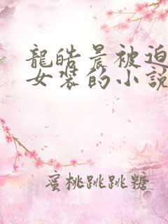 龙皓晨被迫穿上女装的小说叫什么