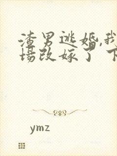 渣男逃婚,我当场改嫁了 下载