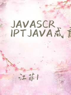 JAVASCRIPTJAVA成熟亲子