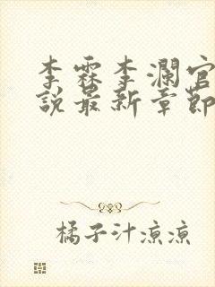 李霖李澜官场小说最新章节