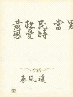 黄政民 当男人恋爱时