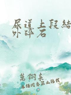 尿道上段结石体外碎石