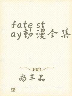 fate stay动漫全集免费观看