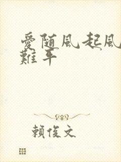 爱随风起风止意难平