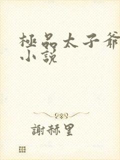 极品太子爷小说小说