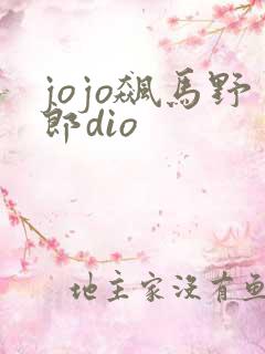 jojo飙马野郎dio