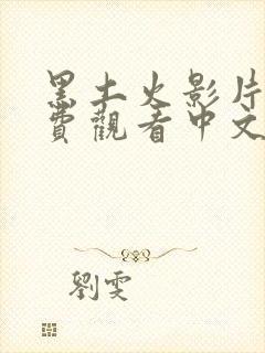 黑土火影片子免费观看中文版