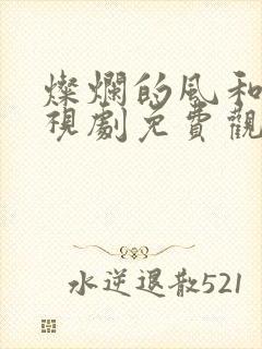 灿烂的风和海电视剧免费观看