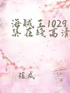 海贼王1029集在线高清免费观看