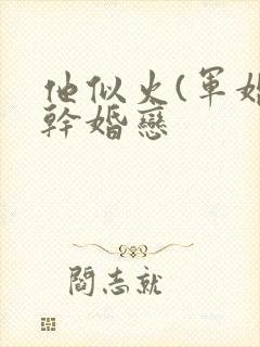 他似火(军婚高干婚恋