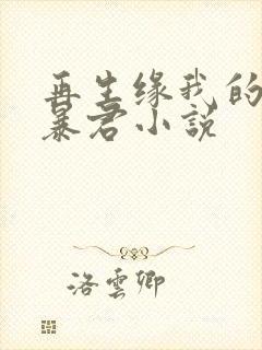 再生缘我的温柔暴君小说